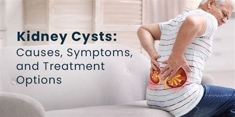 Kidney Cysts: Causes, Symptoms, and Treatment Options