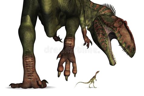 Dinosaur Size Comparison - Huge to Tiny. A tiny Compsognathus dinosaur ...