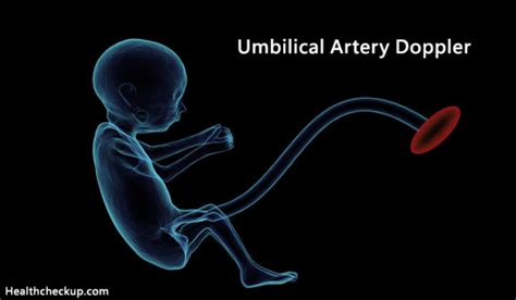 What is Umbilical Artery Doppler | Umbilical Artery Doppler Normal Values