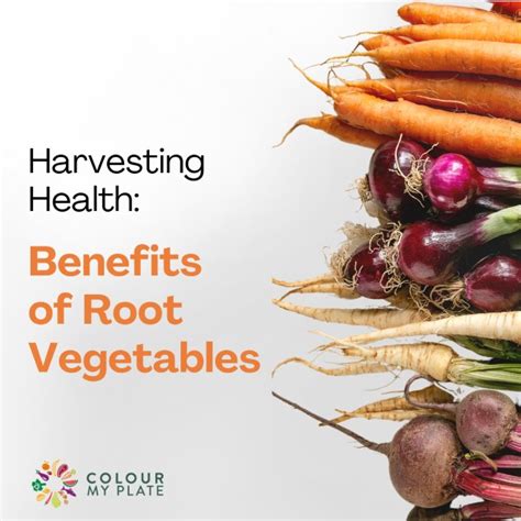 Benefits Of Root Vegetables