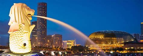 Health tourism singapore information | Dernasam