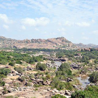 Sloth bear habitat on the Deccan Plateau. | Download Scientific Diagram