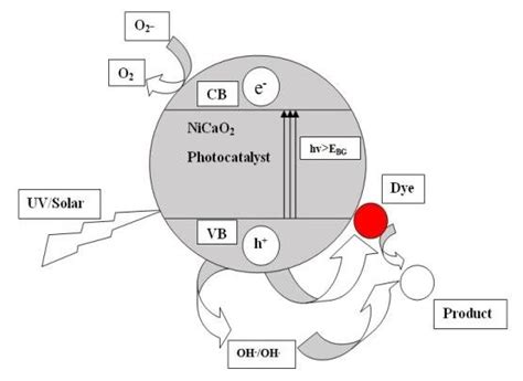 Mechanism of photocatalytic degradation | Download Scientific Diagram