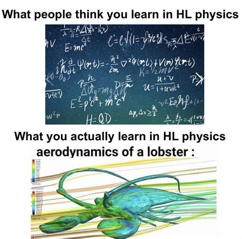 Aerodynamics of lobster go brrr : r/IBO