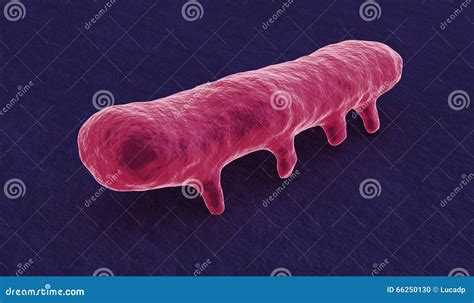 Under the Microscope, Salmonella Bacterium Stock Illustration - Illustration of pink, virus ...