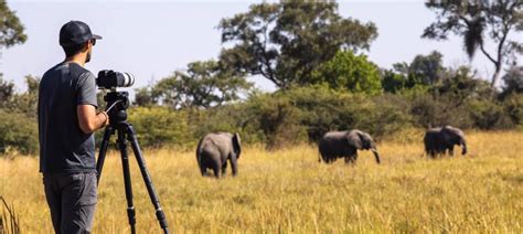 10 Best African Photographic Safaris 2020: Tour Deals & Tips - TourRadar