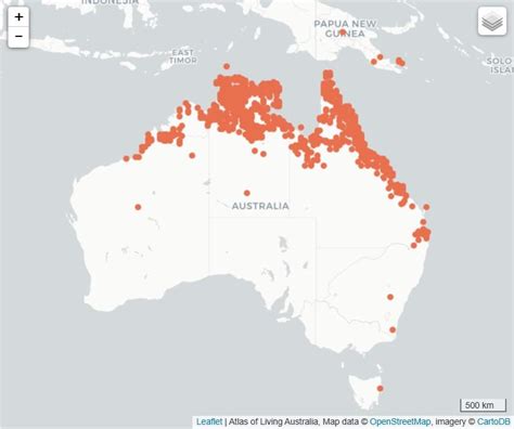 Agile Wallaby Facts | Aussie Animals