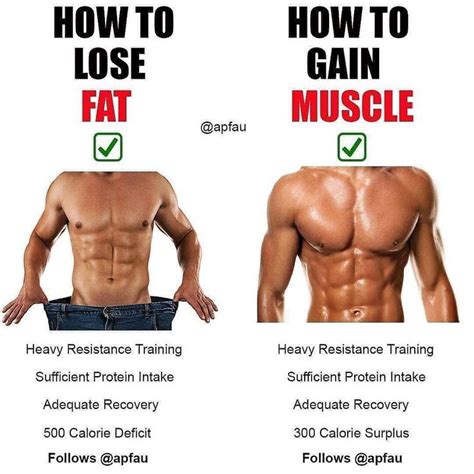 Pin on fitness tips gaining muscle