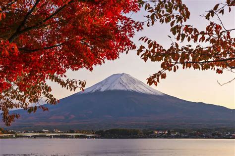 Japan: the land of many wonders | Times of India Travel