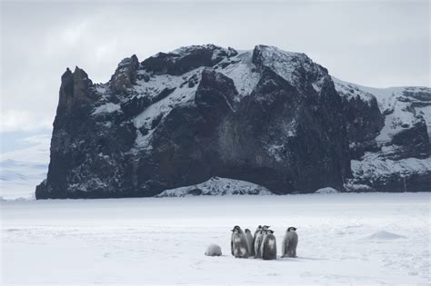 10 Photos that Will Convince You to Visit Antarctica • TravelBreak