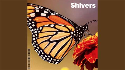 Shivers (New Song) - YouTube Music