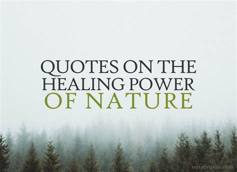 54 Profound Quotes On The Healing Power Of Nature