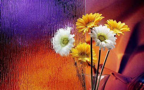 Flowers Flowerpot Frosted Glass, flower pot HD wallpaper | Pxfuel
