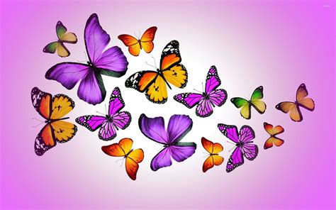 Cartoon Butterfly Wallpapers - Top Free Cartoon Butterfly Backgrounds - WallpaperAccess