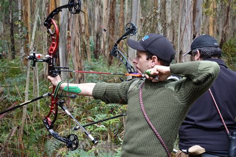 Guides - Is my bow Right or Left Handed? - Urban Archery Pty Ltd