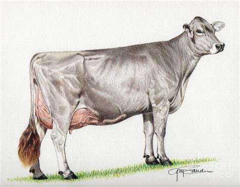 Brown Swiss Cow Painting by Gary Sauder - Fine Art America