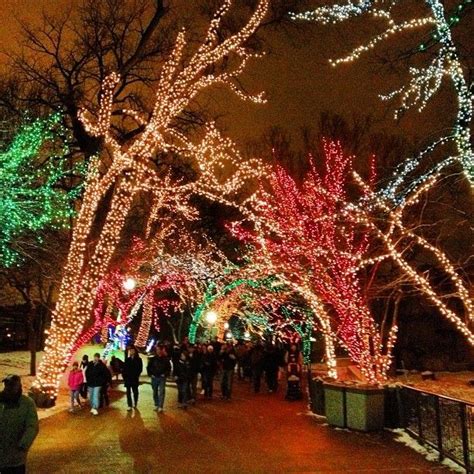 Zoo Lights - Lincoln Park - Chicago, IL | Zoo lights, Chicago holiday, Chicago travel