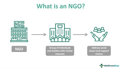 Non-Governmental Organization (NGO) - Meaning, Types, Function