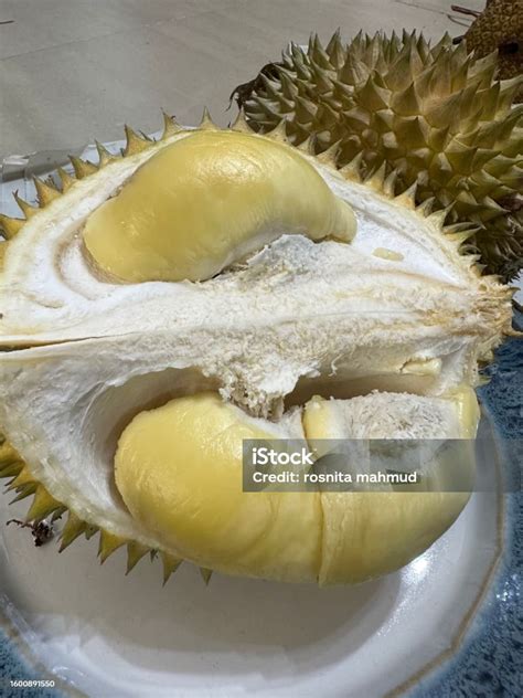 Durian Fruit Or Smelly Fruit King Of Fruit Ripe Durian And Tasty Durian ...