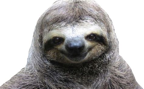 Creepy Sloth Face