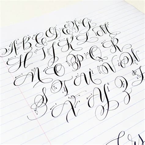 Pointed pen calligraphy alphabet continues… | Jennifer Calligrapher | Modern calligraphy ...