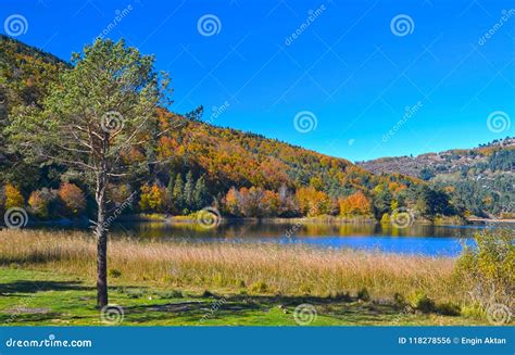 Abant Lake in Bolu stock photo. Image of tree, mountain - 118278556