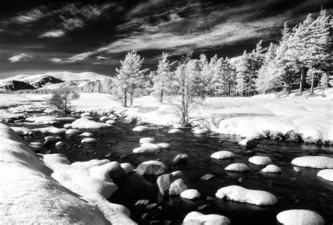 Infrared Photography: The Invisible Light | Nature TTL