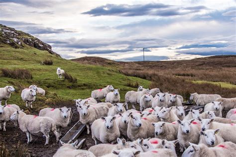 An Enchanting Excursion to Isle of Skye and the Scottish Highlands