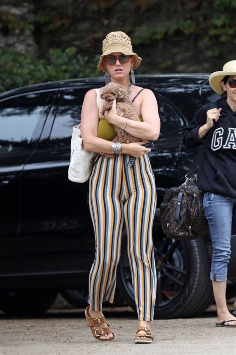 Katy Perry looks cute as she takes her pooch and daughter Daisy Dove to ...