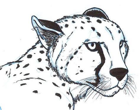 Cheetah Head by BentheBeard on deviantART | letterboxing | Pinterest | Cheetahs, deviantART and ...