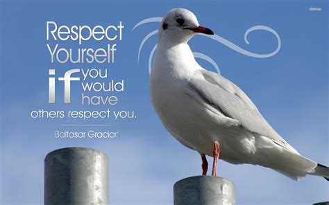 Respect Wallpapers - Top Free Respect Backgrounds - WallpaperAccess