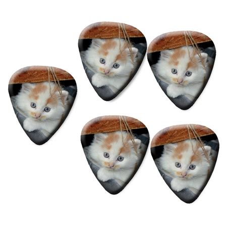 Cute Cat Kitten Printed Guitar Pick Plectrum Choice of items | Etsy