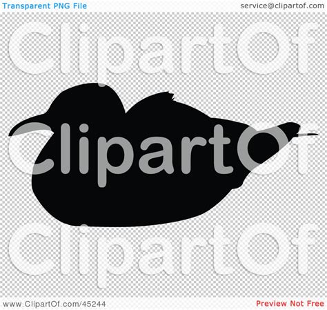 Nesting seagull clipart - Clipground