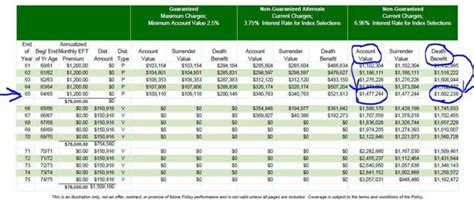 The Professional's Guide to Indexed Universal Life Insurance [2024]