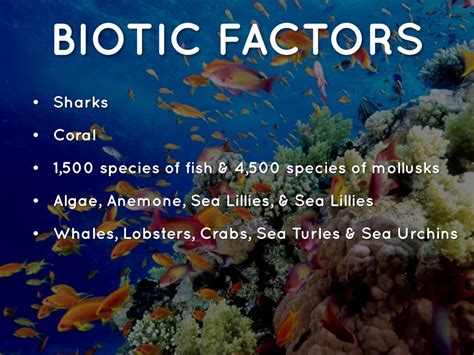 Biotic Factors