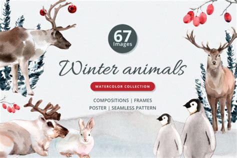 Winter Animals Watercolor Collection Graphic by WatercolorEps ...