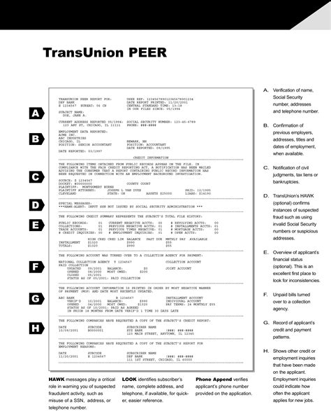 Universal Background Screening | Employment Credit Report