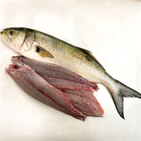 Fresh Bluefish Fillet • Harbor Fish Market