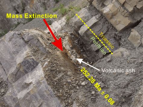 End Permian Mass Extinction Causes and Effects