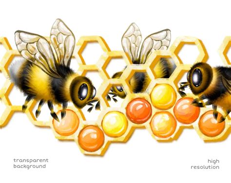 Bee Png Border Clipart Honey Seamless Border Png Filescute - Etsy