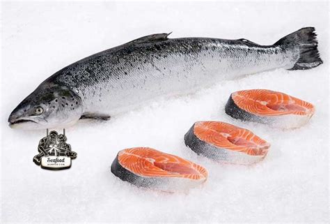 Frozen Salmon Fish Head on (5.50KG)+-/Whole三文鱼整条 - Seafood Hamper