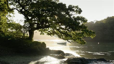 Trelissick to Roundwood Quay | Cornwall | National Trust