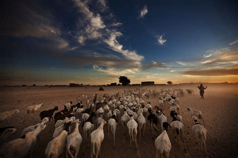 We Were Halfway to Timbuktu When We Heard the Pop | Pulitzer Center