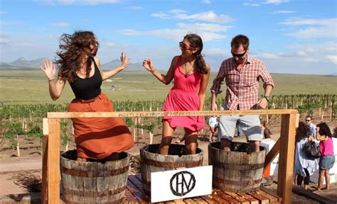 14 Best Wineries to Visit in Sonoita / Elgin | TucsonTopia