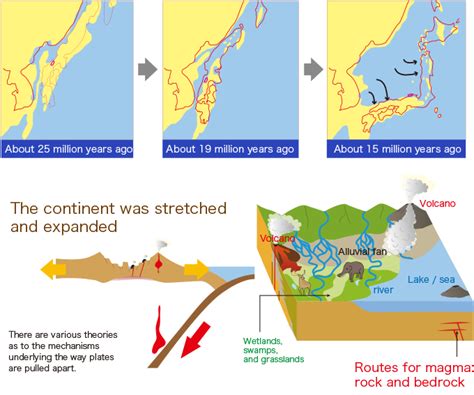 Learn about the formation of the Japanese archipelago | Kami-cho Geopark & Uminobunkakan