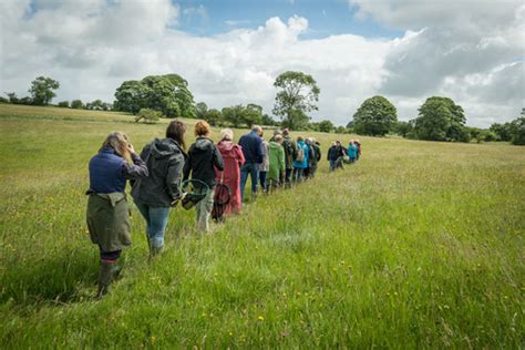 Somerset Nature Connections | Somerset Wildlife Trust