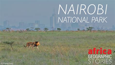 Nairobi National Park - Africa Geographic