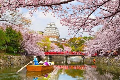 25 Super Fun Things To Do In Japan (Updated With Photos) In 2023