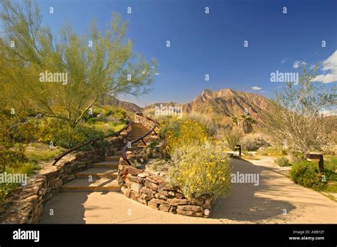 Borrego Springs Visitor Center Anza Borrego Desert State Park ...