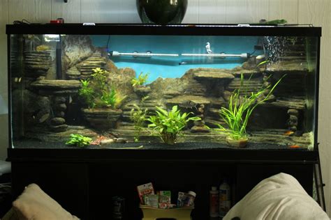 3d aquarium backgrounds 55 gallon - 55 Gallon Tank: 55 Gal 3d Background New Build 143611 2017 ...